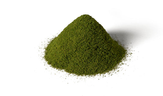 Woodland Scenics G6437 All Game Terrain Grass Summer