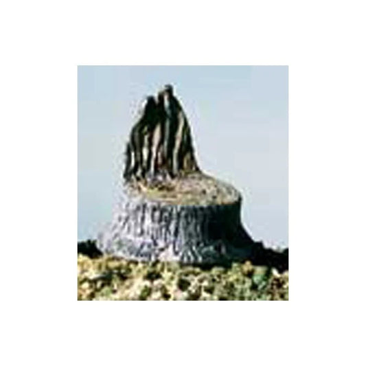 Woodland Scenics S31 N/HO Cut Tree Stumps (14) Train Scenery.