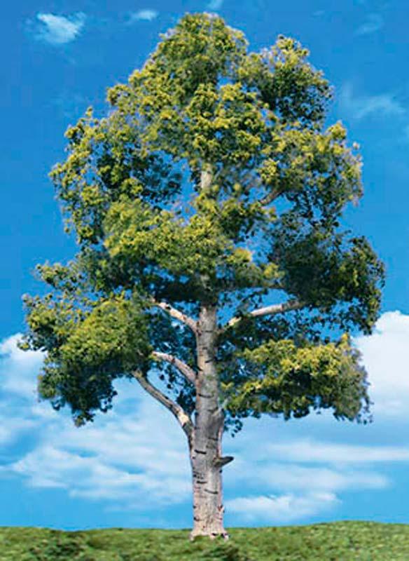 Woodland Scenics TR3538 N/HO Waters Edge Tree 7" - 8" Train Scenery - PowerHobby