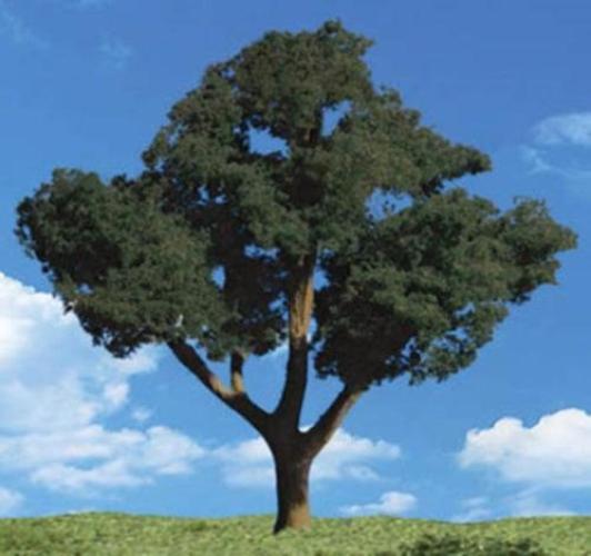Woodland Scenics TR3547 N/HO Cool Shade Tree 3/4" - 1 1/4" Train Scenery - PowerHobby